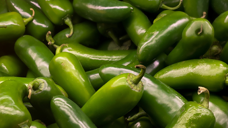 pile of fresh jalapeno peppers