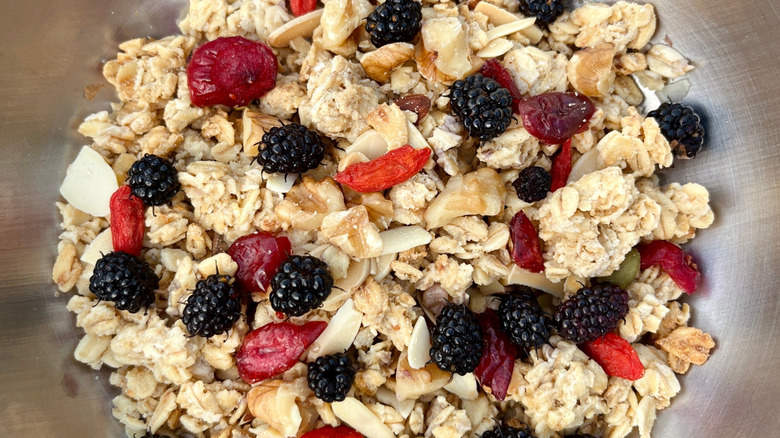 Bowl of granola with mulberries, other dried fruit, and nuts