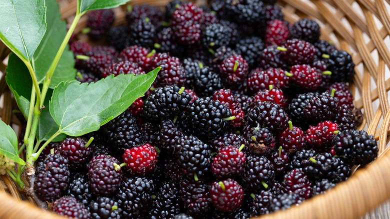 Basket of mulberries and mulberry leaf