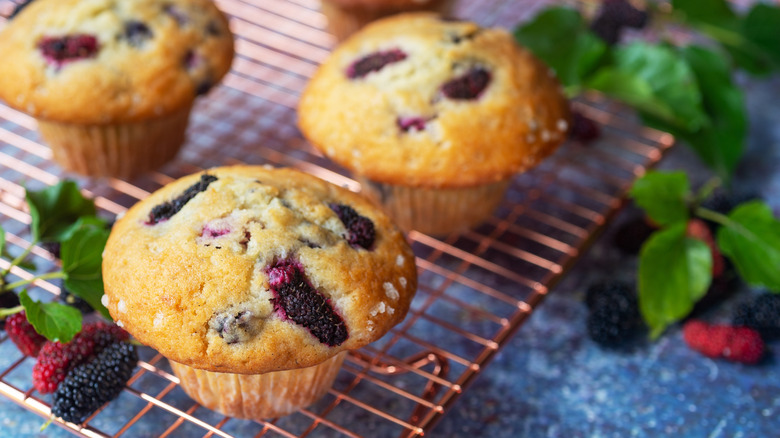 Mulberry muffins on a cooling rack