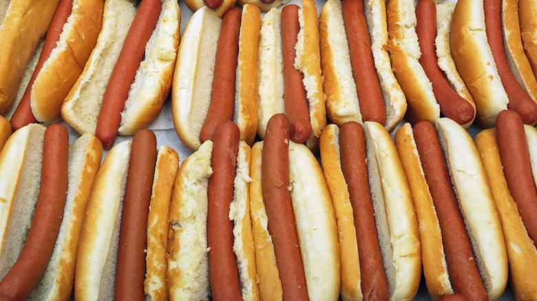 Rows of plain hot dogs on buns