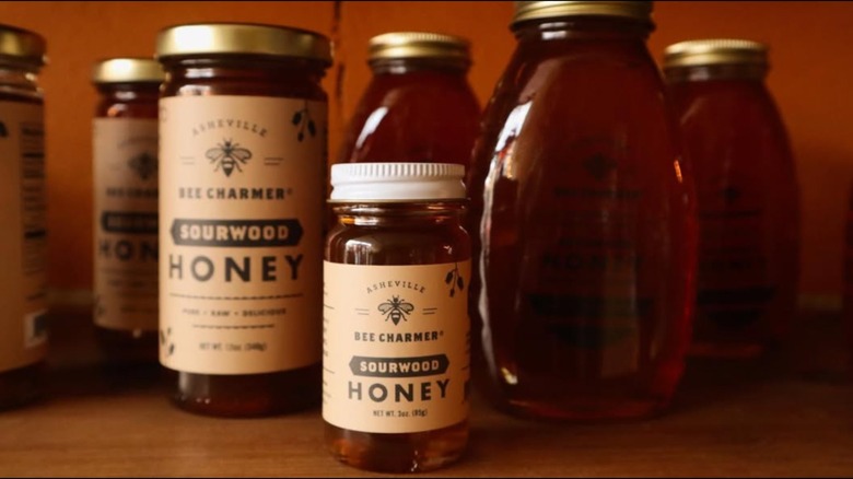 Asheville Bee Charmer Sourwood honey jars in assorted sizes