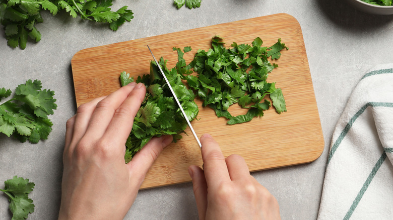pereson slicing cilantro on small wooden cutting board