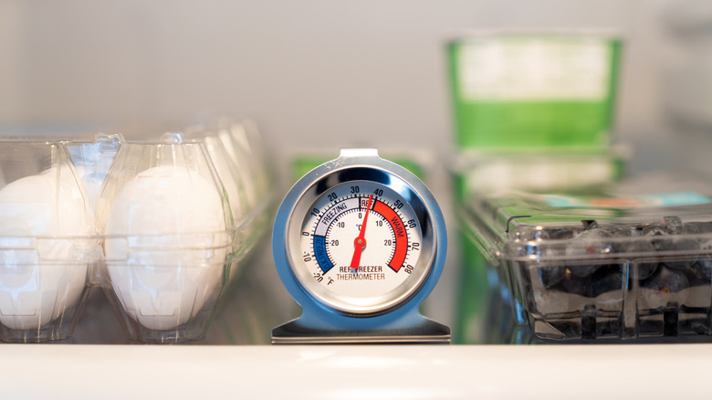 refrigerator with thermometer inside