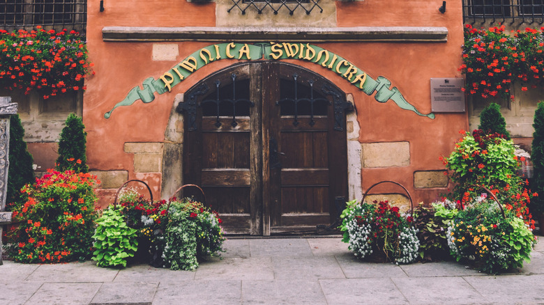 Piwnica Swidnicka entrance surrounded by flowers