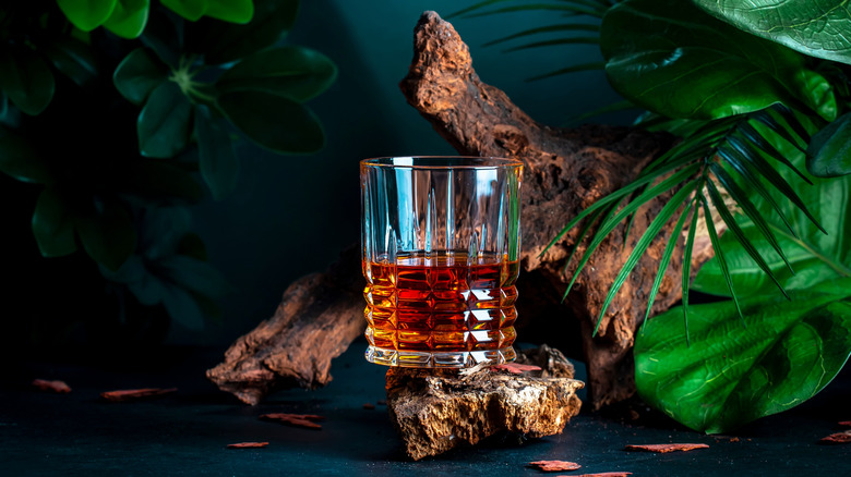 Glass of bourbon with tropical leaves and dark background