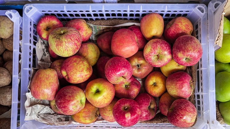 Honeycrisp apples in a crate