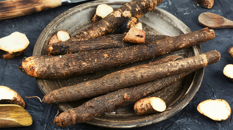 Salsify root, once a popular vegetable in Europe and North America