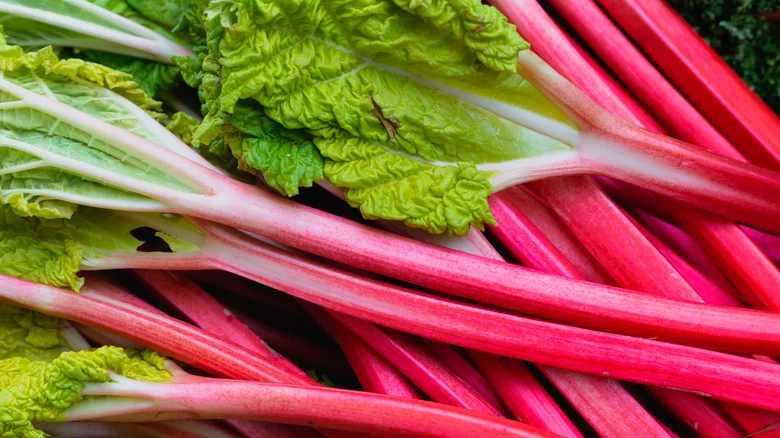 Pile of vibrant pink rhubarb stalks with green leaves