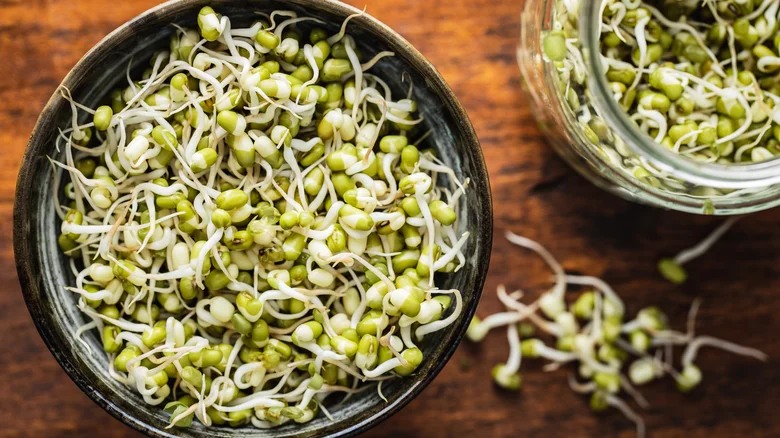 Sprouted green mung beans in dark bowl