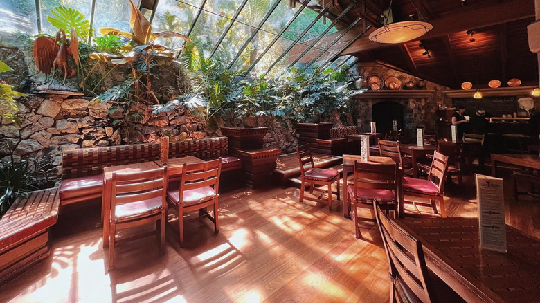 Shadowbrook restaurant interior with natural elements, greenery, and wooden tables