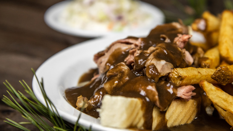 A close-up of a plate of beef covered in gravy, with fries
