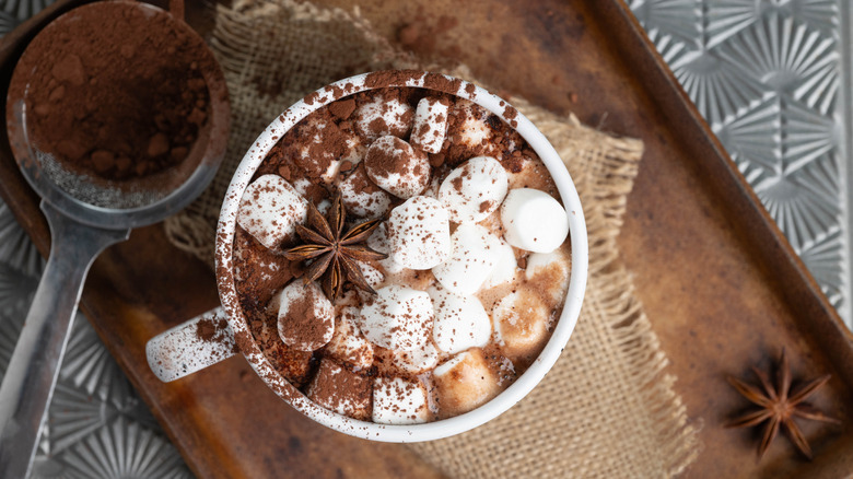 overhead of hot chocolate mug with marshmallows, cinnamon dusting