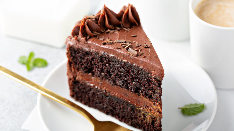 Chocolate cake on white plate