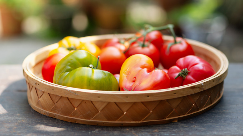 Ripe tomatoes in a woven bowl