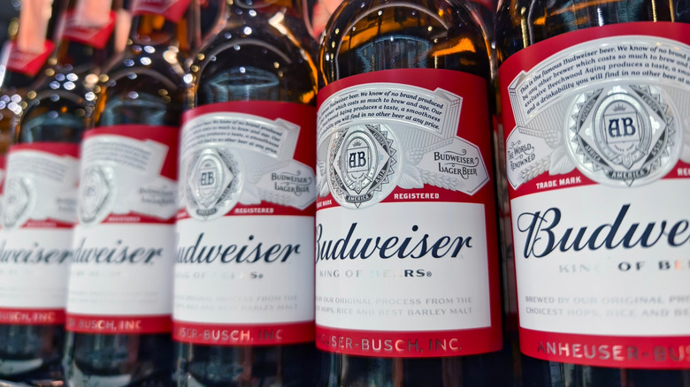 A row of Budweiser bottles of beer.