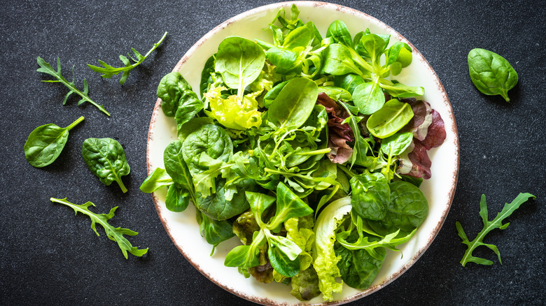 white plate filled with a variety of fresh leafy greens