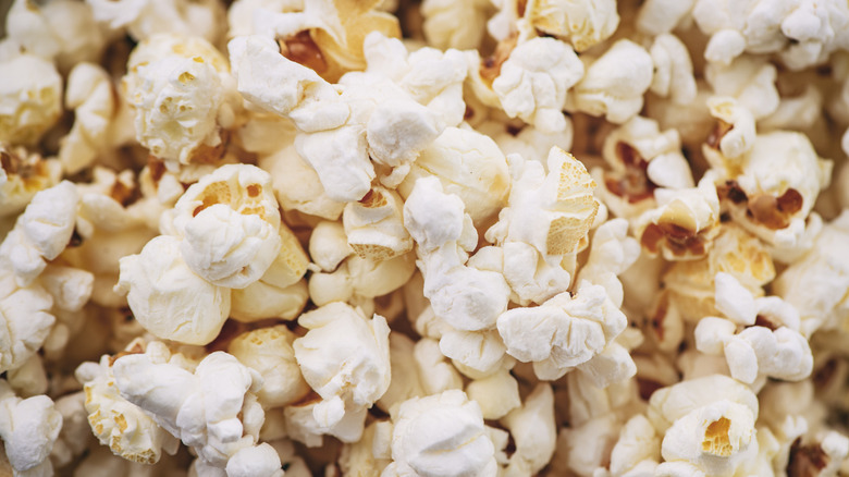 Popped popcorn kernels close up