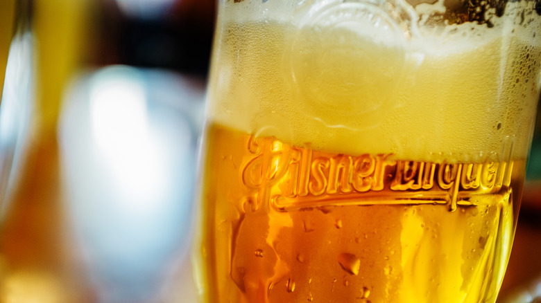 A close up of Pilsner Urquell in a glass