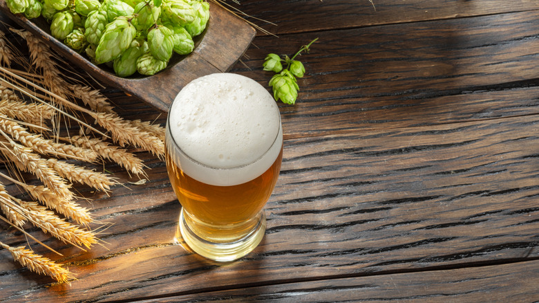 A glass of wheat beer on a table with wheat and hops
