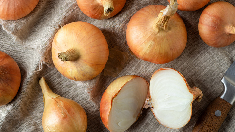 Several unpeeled onions on tan sackcloth with one cut in half next to a knife