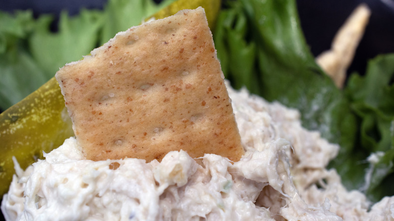 chicken salad with a cracker