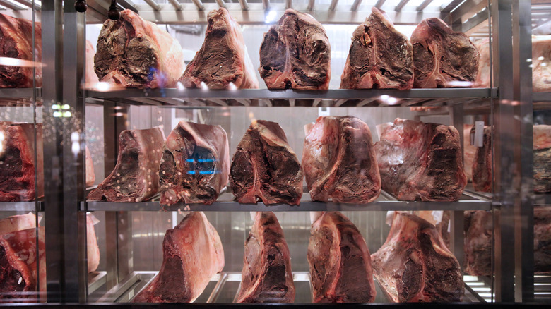 meat hanging in a dry aging refrigerator