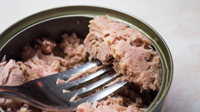 A close up of an open can of tuna with a fork in it
