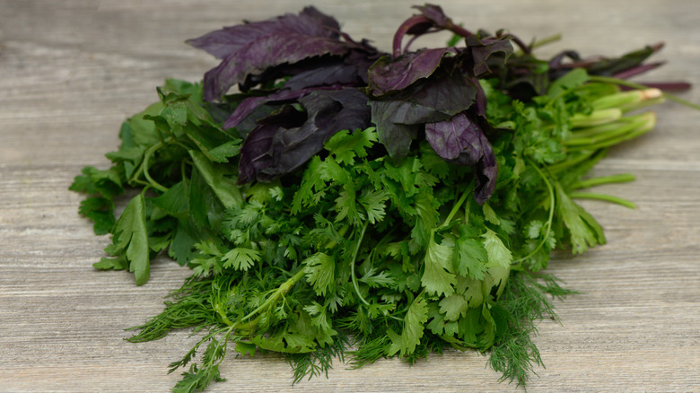 Fresh herbs on a table
