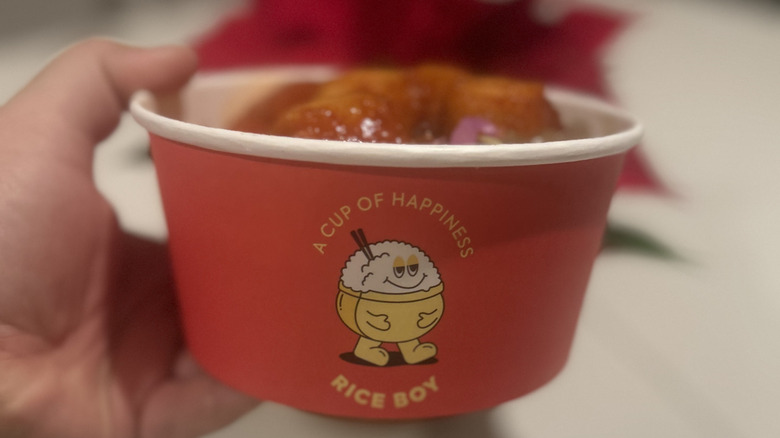 Hand holding a tofu boy from Rice Boy