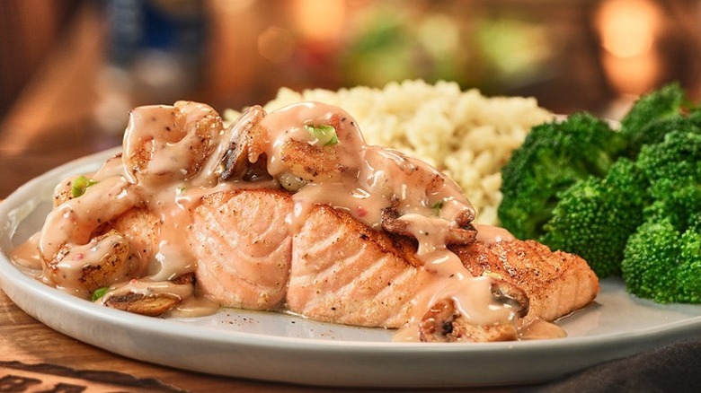 Outback Toowoomba Salmon with rice and broccoli