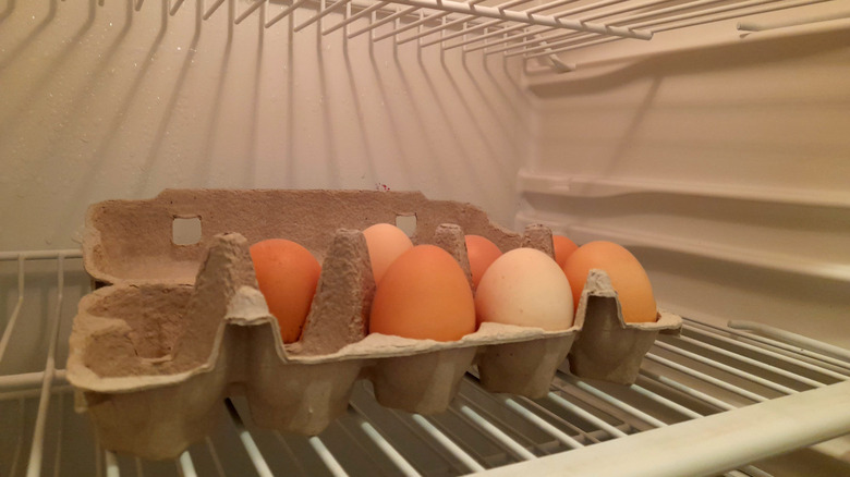 Eggs in a carton on a fridge shelf
