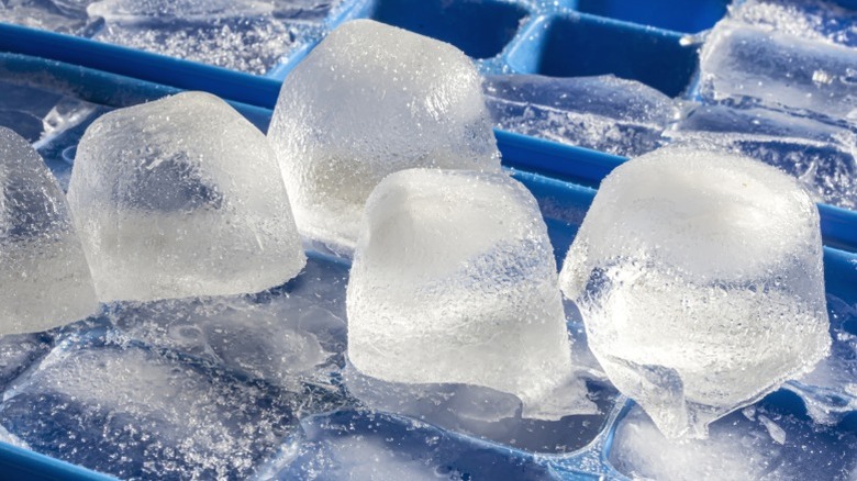 Several ice cubes from a blue ice tray