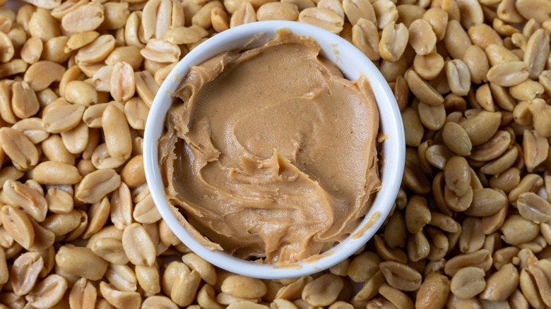 White bowl with peanut butter sitting on a bed of peanuts