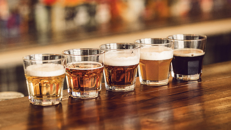 A flight of beers in glasses on a brewery bar