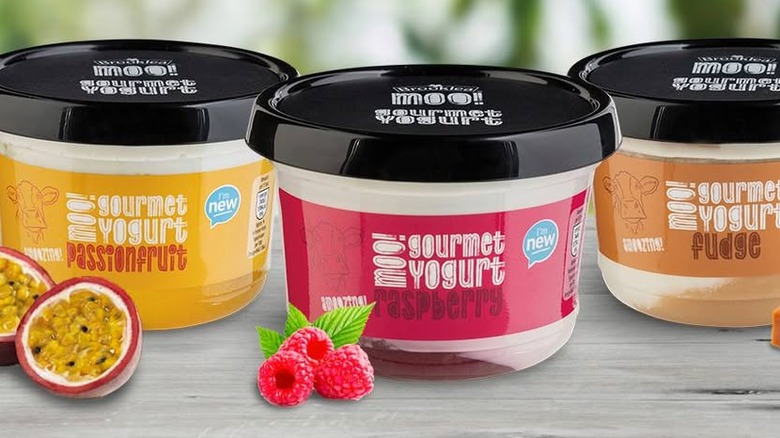 Pot of The Collective gourmet yogurt
