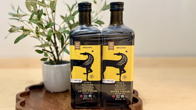 A two-pack of one-liter bottles of Terra Delyssa organic extra virgin olive oil bought at Costco, on counter in front of decorative olive tree in pot
