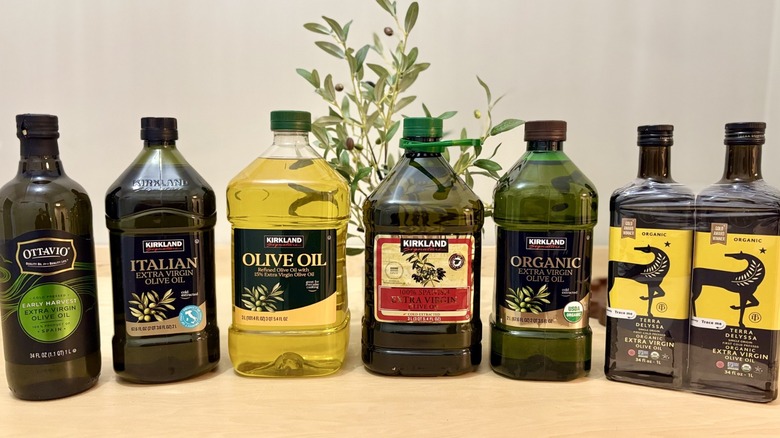 A lineup of various olive oil varieties available at Costco, on counter in front of decorative olive branch