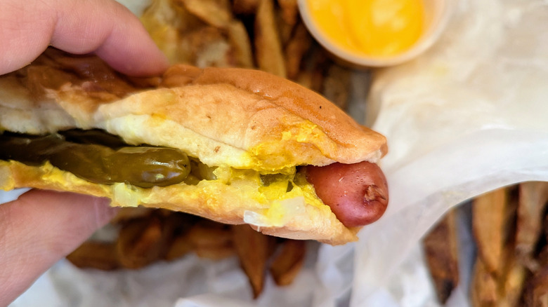 hand holding hot dog