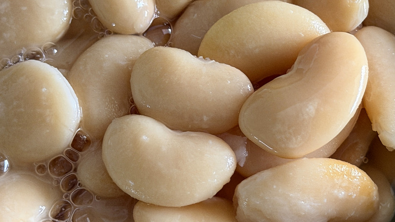 Canned lima beans or butter beans