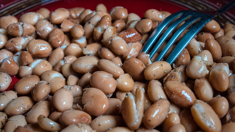 Canned cranberry or borlotti beans with a fork