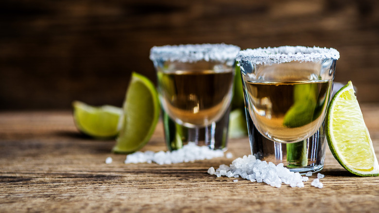 Two shots of tequila with salted rims rest on a table, lime slices surrounding them.