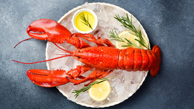 A steamed lobster with a cup of melted butter and lemon slice on a large plate.
