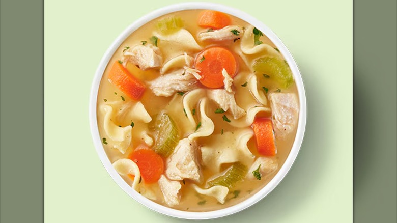 Subway chicken noodle soup in white bowl on light green backdrop