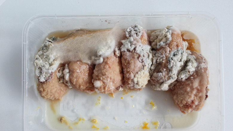 container of moldy chicken