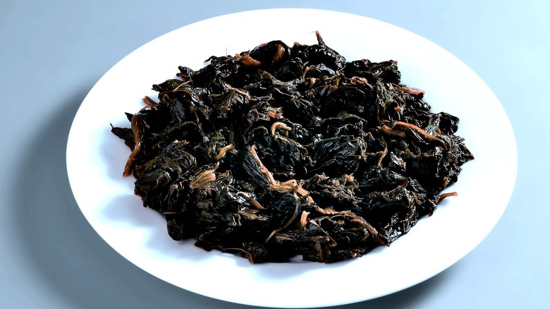 Round dish with a portion of blackened spinach isolated on grey background
