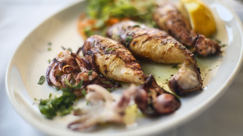 Grilled squid on white plate