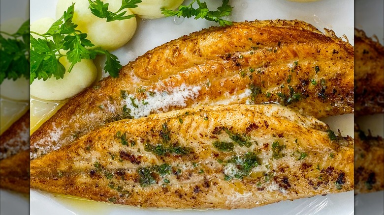 Sole meunière on plate with parsley and mash