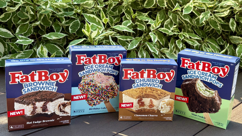 Boxes of new FatBoy hot fudge brownie, birthday cake, cinnamon churro, and mint cookie flavor ice cream sandwiches