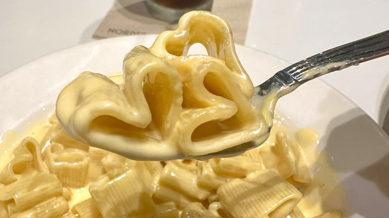 spoon holding heart shaped noodles of mac and cheese from Nordstrom Bistro